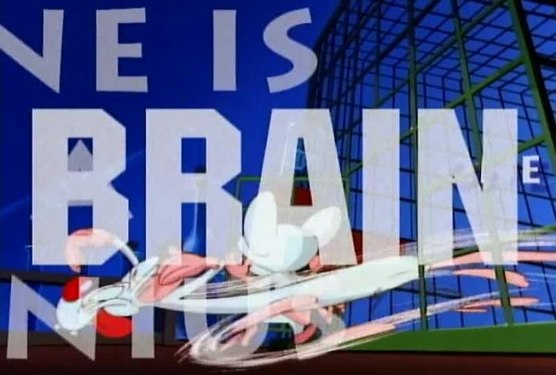 THEY'RE PINKY AND THE BRAIN