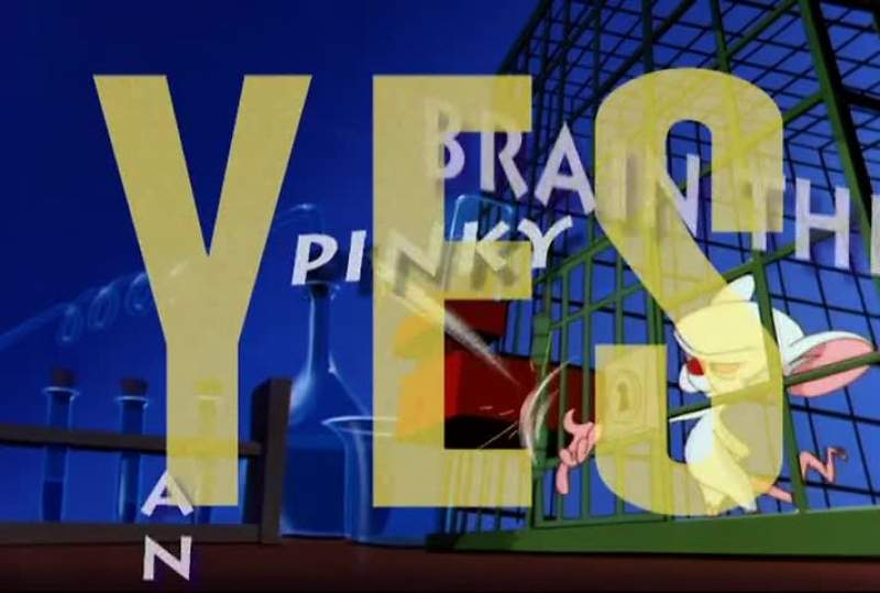 THEY'RE PINKY AND THE BRAIN