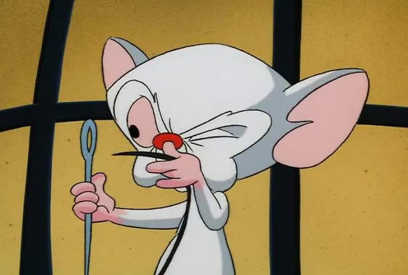 THEY'RE PINKY AND THE BRAIN