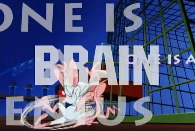 THEY'RE PINKY AND THE BRAIN