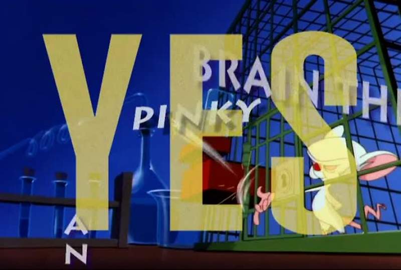 THEY'RE PINKY AND THE BRAIN