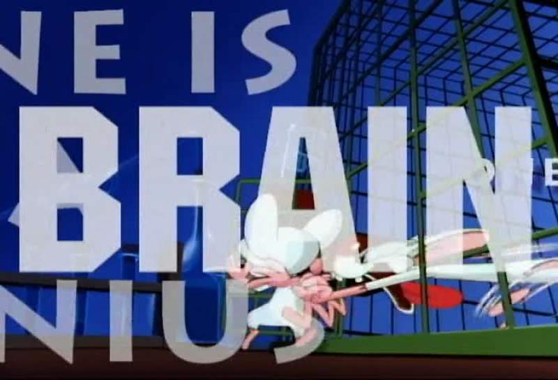 THEY'RE PINKY AND THE BRAIN