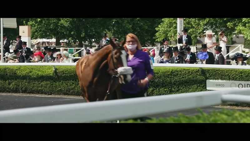 They're rare and precious things, Royal Ascot winners