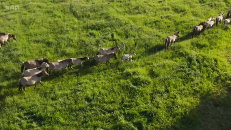 They're regularly on the move