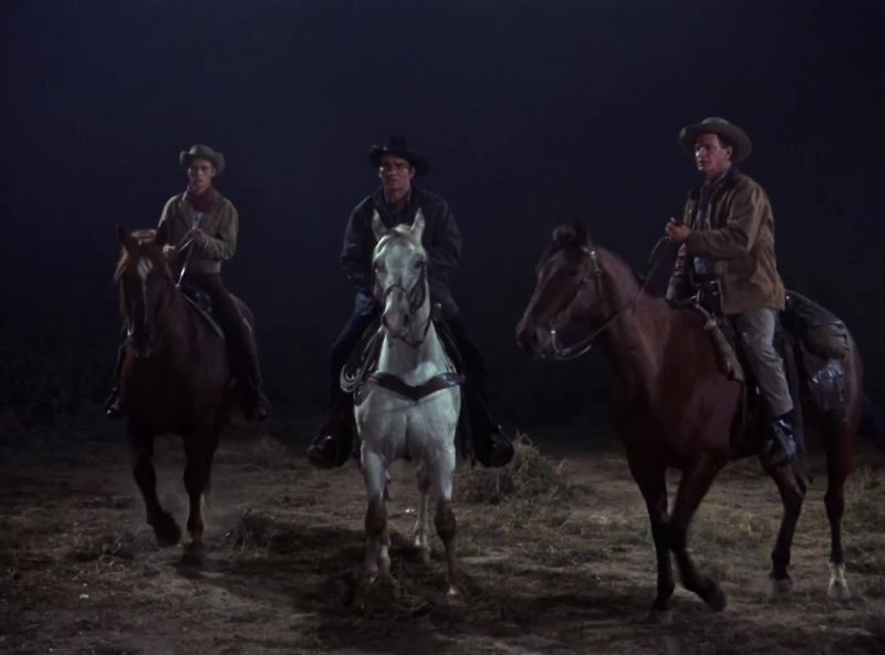They're stampeding!