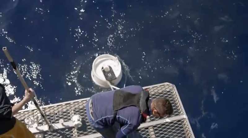 They're testing a new shark deterrent that does just that