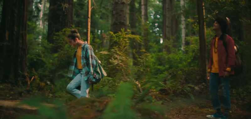 They're-- They're-- They're redwoods