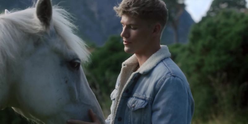 They're, um… they're our horses
