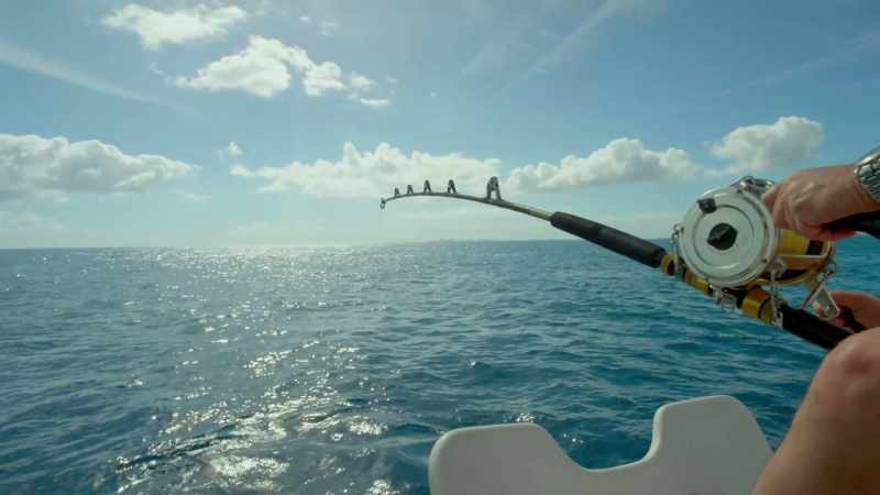 They've seen life on Earth rebuilt from scratch five times