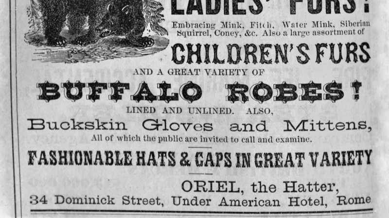 Thick buffalo robes became popular