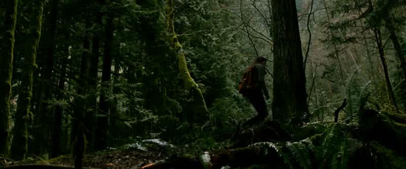 Things are bad againWithout Jake I just I can't stand itI don't see Edward anymoreWill it really feel like he never existedI will find the place where I can see him again