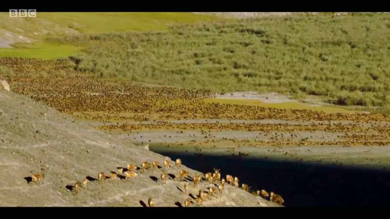 Things come, they grow, their populations get huge