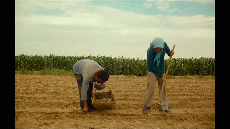 Things grown in the field can't go anywhere