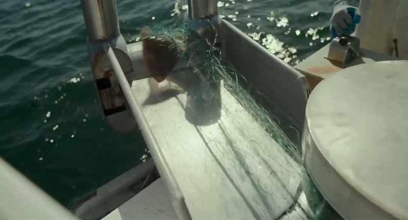 Things start moving and they move to colder waters
