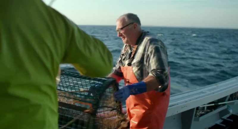Things that we used to fish for here now like codfish