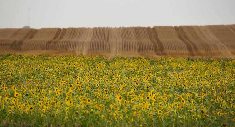 Think about a place like the Dakotas