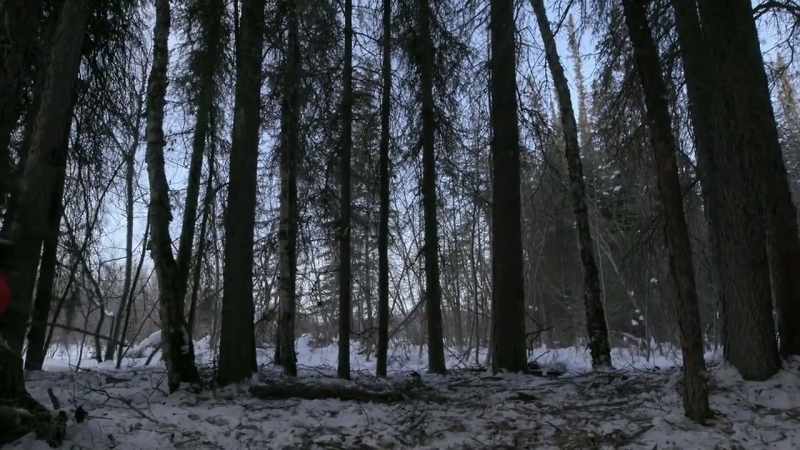 Thinking of survival, especially with below-zero temps
