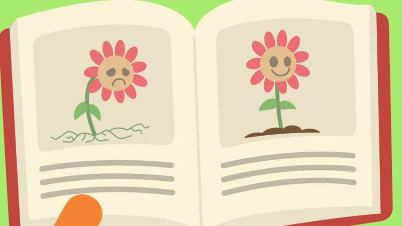 This is a book about What plants needs to grow