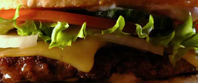This is a cheeseburger. So very juicy