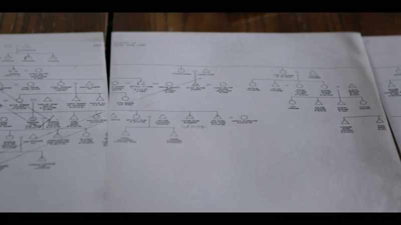 This is a genealogy of a particular house