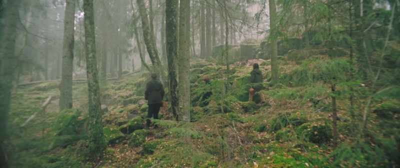 This is a great mushroom spot. - It sure is