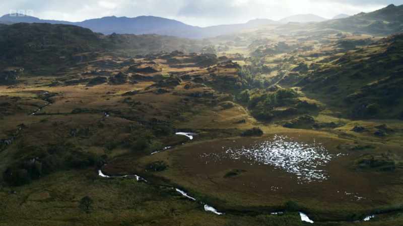 This is a landscape being returned to wilderness