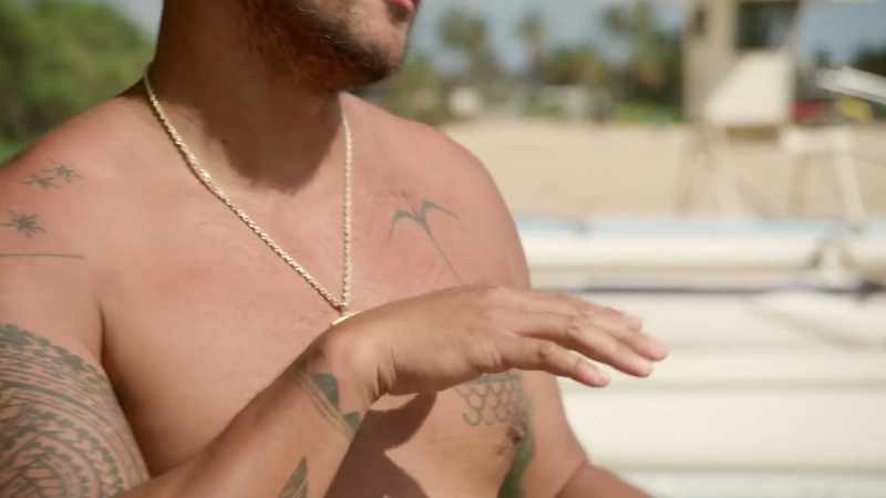 This is a navigation bird called kaua i oola