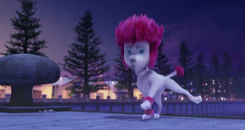This! A stupid fluffy poodle!