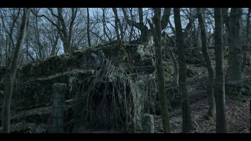 This was abandoned after Morozova's death