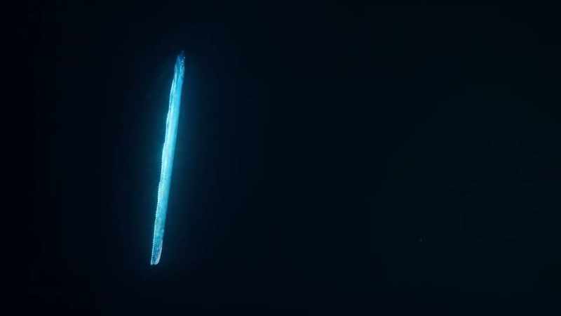 This alien world is home to weird and mysterious creatures