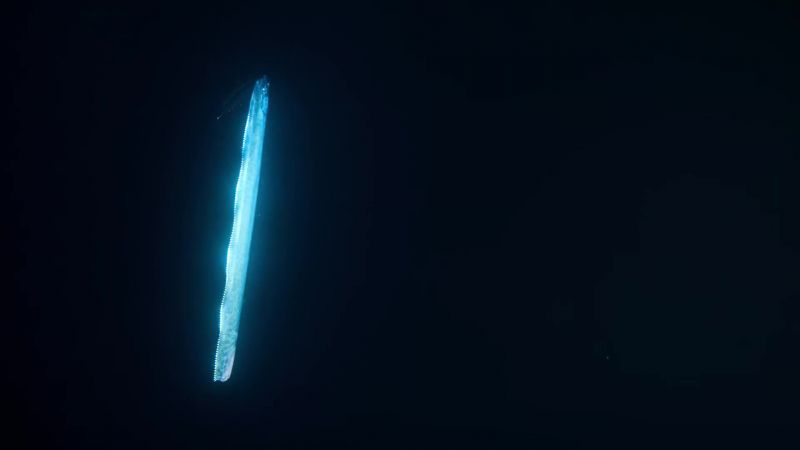 This alien world is home to weird and mysterious creatures