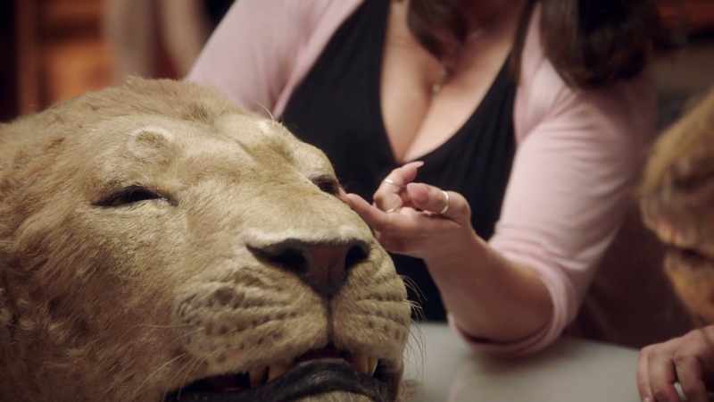 This is all flocking in here and the eyelashes are all hand-punched
