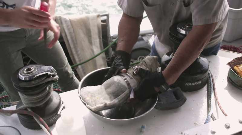 This is all plastic that we caught