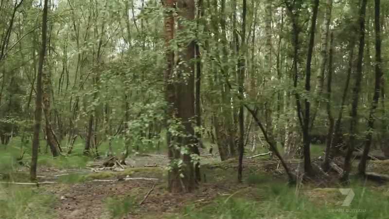 This was an area with which Bellfield was very familiar