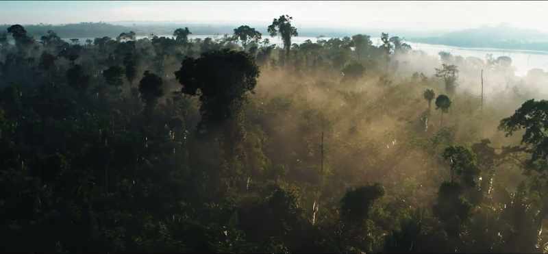 This ancient and richly biodiverse world