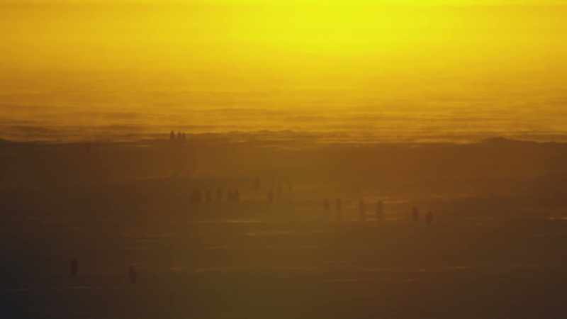 This Antarctic sea ice on which all emperor penguins rely