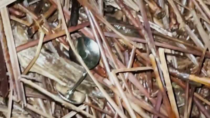 �This asshole dumped an entire thing of thumbtacks everywhere