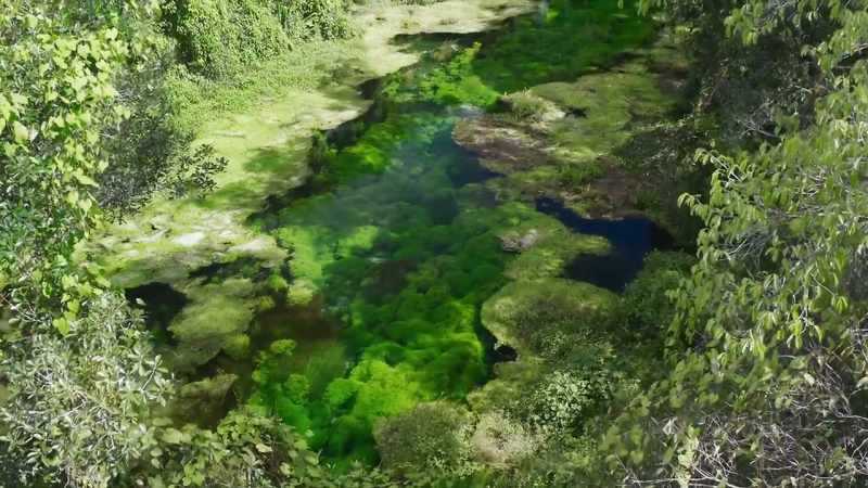 This barely explored tributary is the Rio Claro