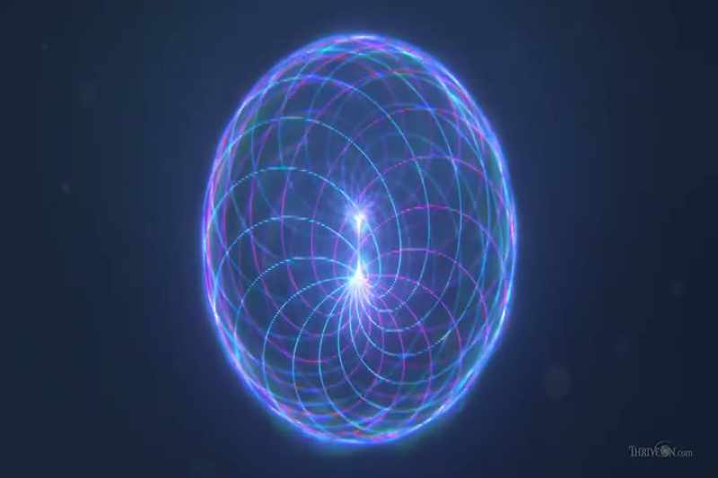 This is because the torus is the basic pattern
