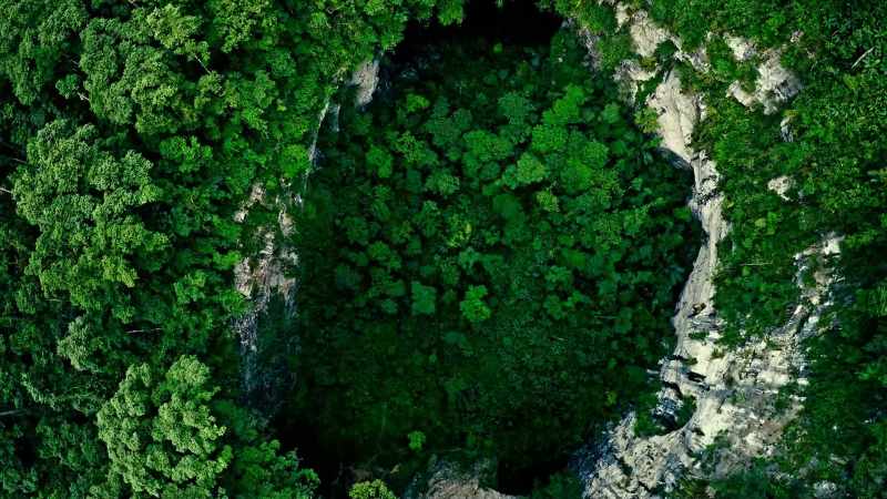 This biological magic trick means that, even when there is only