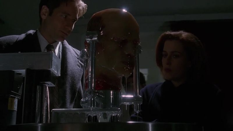 This is biopolymerisation, a high-tech mummification process