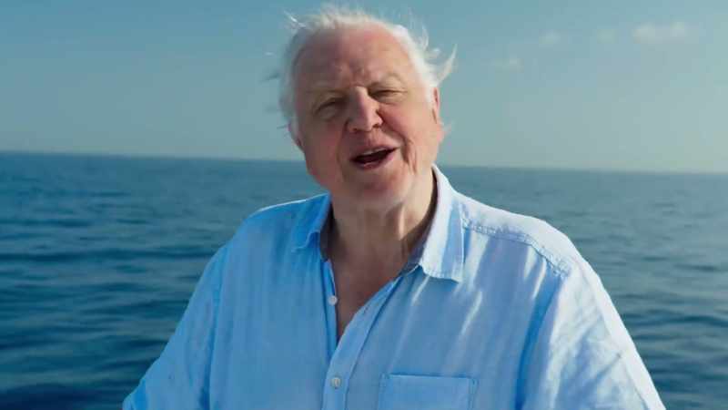 This is Blue Planet II