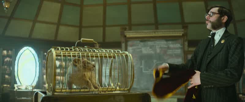 This is called a cage