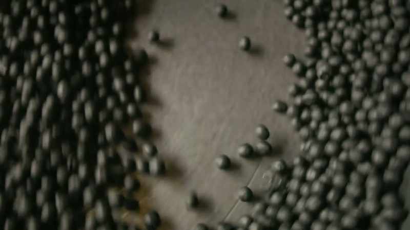 This carbon coat will protect the seeds from hungry animals