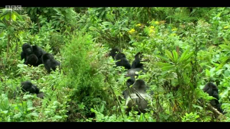 This change has not happened overnight