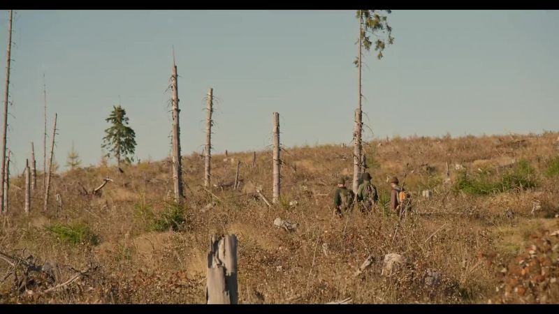 This clear-cut area is huge