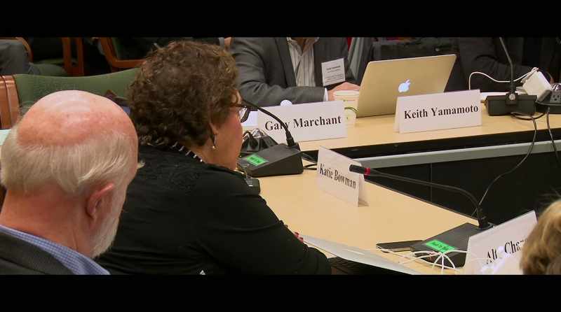 This committee's gonna be looking at both somatic