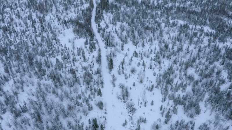 This could be a good place to hunt next fall
