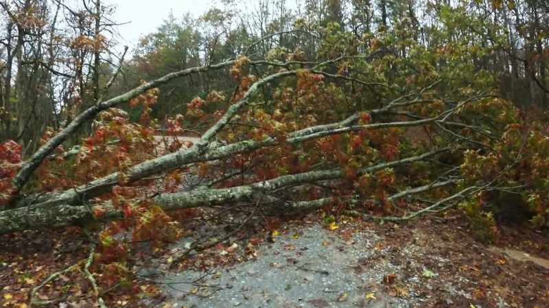 This is crazy. Hurricanes are no joke