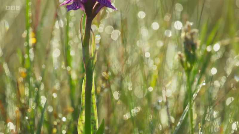 This creates habitat for wildlife